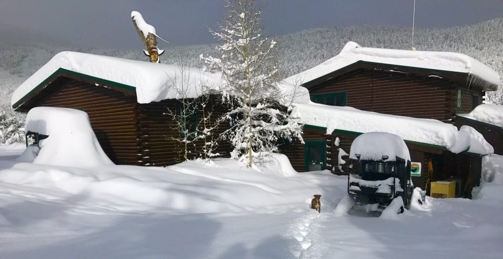 Experience Memorable Winter Activities in Estes Park Estes Park
