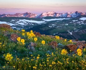 Images of RMNP Gallery