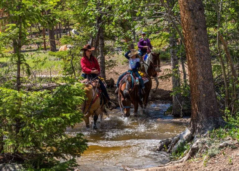 National Park Gateway Stables - Estes Park Horseback Rides