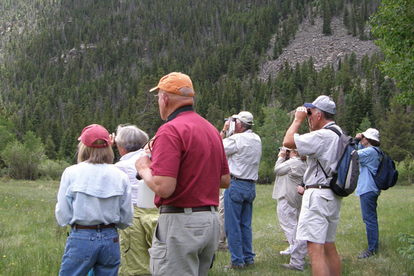 Rocky-Mountain-Conservancy-Summer-Birding-with-a-Naturalist