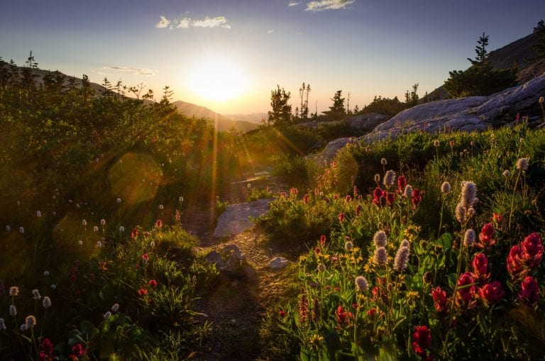 Rocky Mountain Conservancy - Estes Park