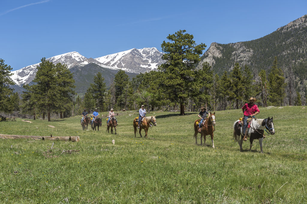 Horseback Riding Trail Rides Estes Park   Np Gateway Meadow Ride 