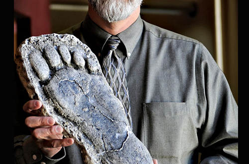 bigfoot-expert