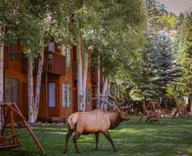 Featured Property